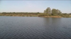 Случайный карась .