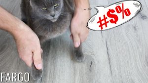 🦾 Кварцвинил на нашем балконе! Вся правда, которую вам не скажут в магазине!