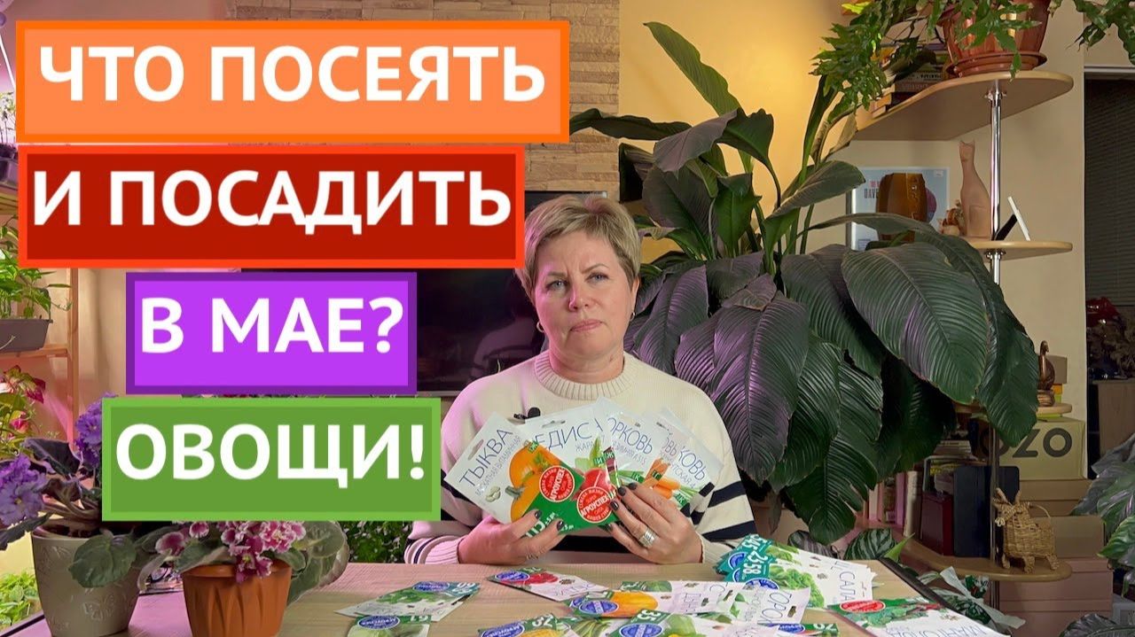 КАКИЕ ОВОЩИ СЕЯТЬ В МАЕ! МОЖНО И НУЖНО СЕЯТЬ ДЛЯ УРОЖАЯ