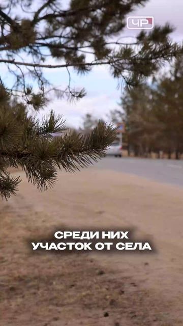 На асфальтирование грунтовой трассы от Шелопугино до Газимурского Завода нужно 7 миллиардов рублей