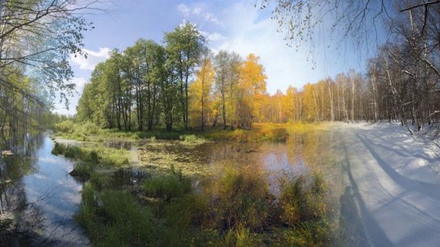 Песнопение. Моя жизнь 2025 года.