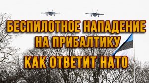 БЕСПИЛОТНОЕ НАПАДЕНИЕ НА ПРИБАЛТИКУ. КАК ОТВЕТИТ НАТО / ТАМИР ШЕЙХ новости