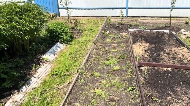 Работа на даче не заканчивается установилась тёплая погода