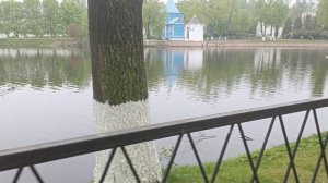 Моя прогулка