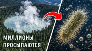 Смертельный газ из сердца Африки: что происходит? ☠️