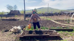 Обманули с дровами Рассказ про моих детей