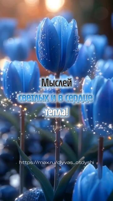 🥰 Оставляйте реакции, если понравилась открытка и делитесь с близкими ❤️