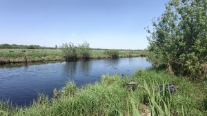 Обстановка на каналах Виноградовской поймы возле моста через Нерскую у села Конобеево.19-05-2026