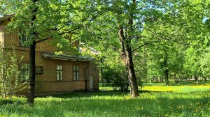 Санкт-Петербург. Погуляем по проспекту Энгельса