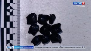 Команда КБГУ стала золотым призером всероссийских соревнований по дзюдо среди студентов