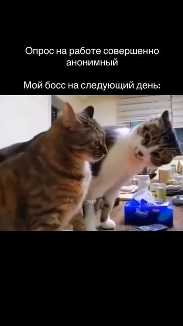 #офис #работаем #офисныебудни #тдфарма