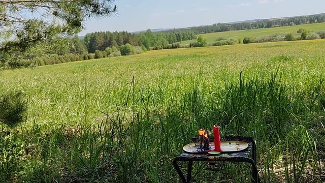 Снимаем проклятье сделанное родственником.Чистка Рода,отсекаем,,гнилые,,ветви по Роду.