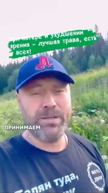 Лечебная тоава