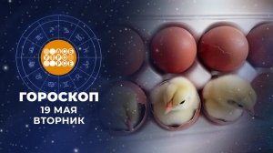 Гороскоп на 19 мая. Доброе утро. Фрагмент выпуска от 19.05.2026