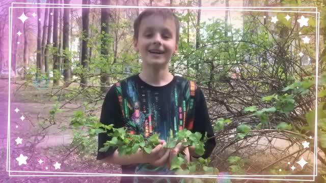 Первые шаги в изучении английского языка