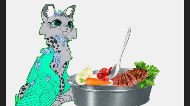 готовлю вкусный шашлык из сью Рокси