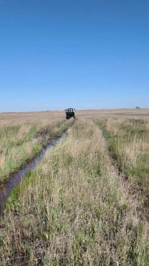 к701 не смог.Разгружаем телегу на МТЗ 892