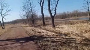 парк.