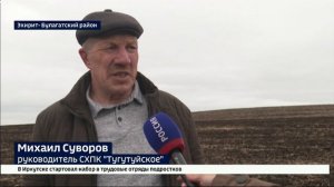 Больше масличных культур. В Иркутской области стартовала посевная кампания