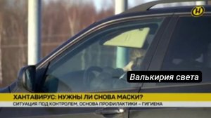 На белорусской границе усилен контроль из-за хантавируса.