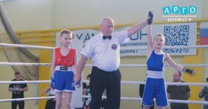 В Сафонове состоялся турнир по боксу, посвященный Дню Победы