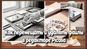 Как управлять файлами в программе Picasa