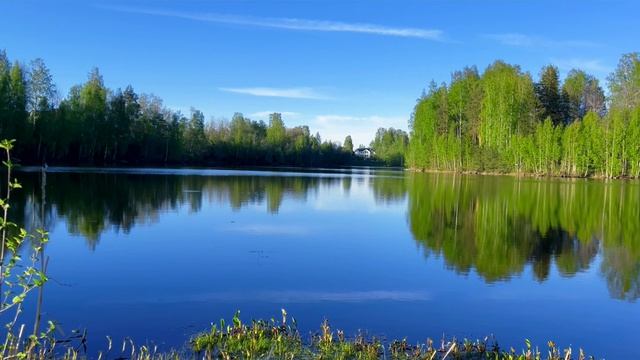 «Хэйлун» — место, где майский ветер встречает китайскую сказку 🏮 смотреть онлайн