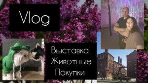 влог. выставка/ животные/ покупки