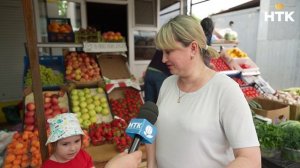 На прилавках Калмыкии начала появляться ранняя клубника