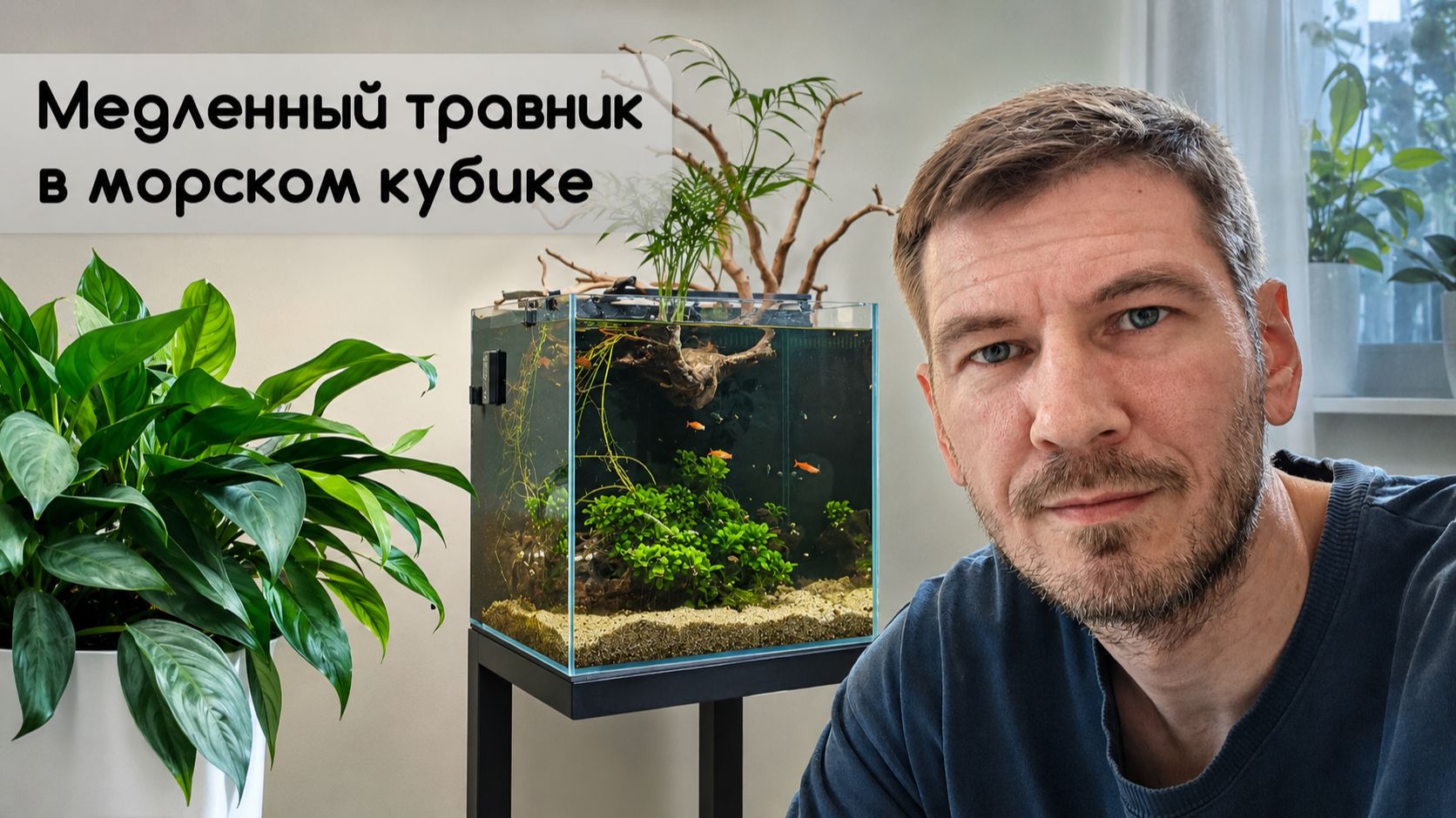 Травник в морском комплекте. Как всё организовано