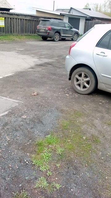движение в нижнеудинске смотреть онлайн