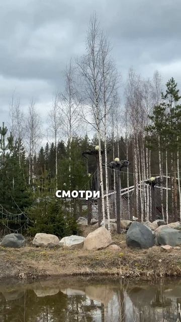 Резиденция карельского Деда Мороза #дедмороз #карелия #эпос #путешествия