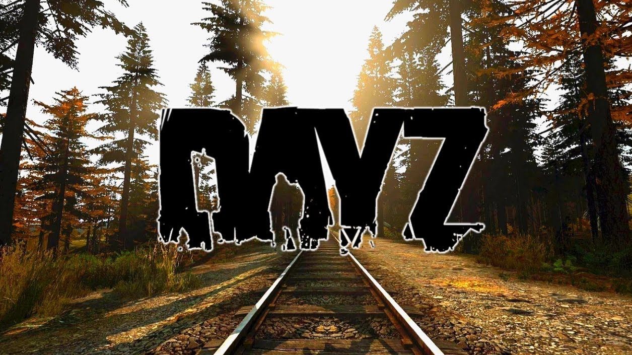 DayZ Will