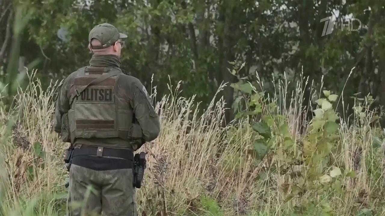 Над территорией Эстонии сбит беспилотник.