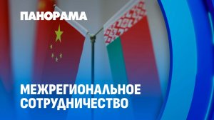 От официальных переговоров до практических проектов: делегация Ганьсу посетила “Великий камень”