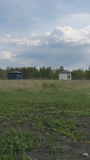 16153003166248 смотреть онлайн