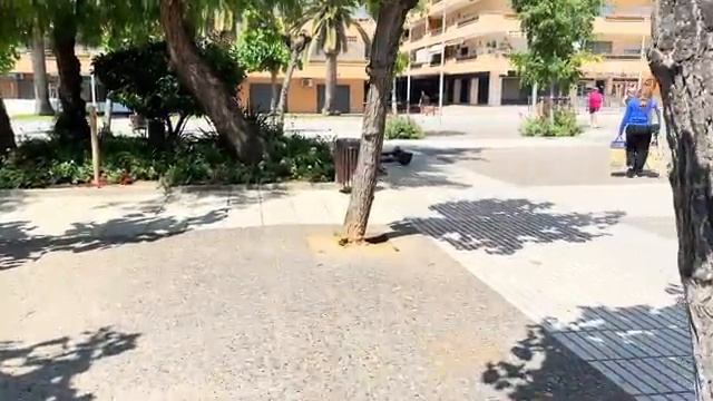 1000059772.mp4