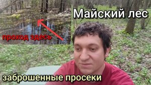 Нашёл заброшенные просеки через лес/Иду через болото/Поход 6.05.26