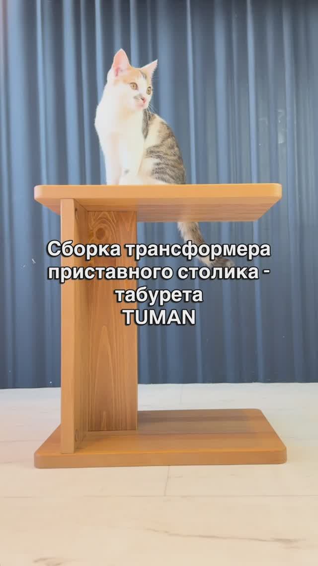 Сборка трансформера TUMAN приставной столик - табурет
