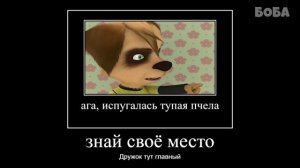 ржака 12 минут