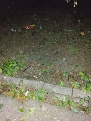 ночьной Стрим