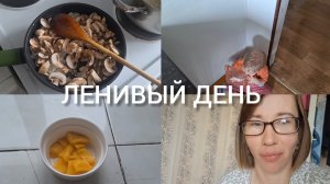 НАШ ДЕНЬ, ПРОСНУЛИСЬ , И УЖЕ ВЕЧЕР 😀
