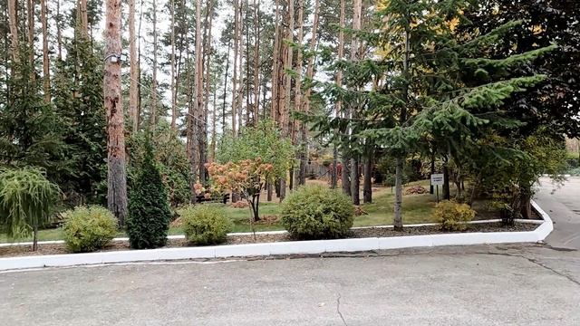 Храм в честь Пресвятой Богородицы в Портпоселке Тольятти 15 октября 2025