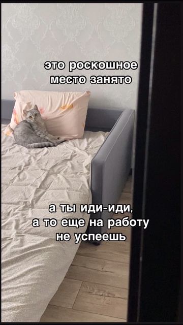 19-05-2026