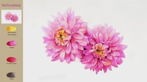 Пошаговый мастер-класс по акварельной живописи.  Розовая хризантема