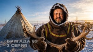Зачем оленеводы Ямала срезают рога оленей: Бригада 89, серия 2