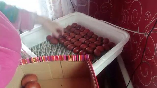 ОТВЕЧАЮ на ВОПРОСЫ//Деревенская жизнь на пенсии//
