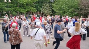 Вишни...... 17.05.26 Гомель парк Луначарского 🥰💫
