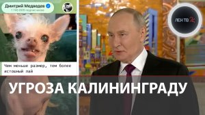Напасть на Калининград призвал МИД Литвы | Реакция Путина и Медведева на угрозы Европы в адрес РФ