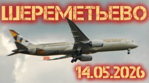 Споттинг в Шереметьево 14.05.2026